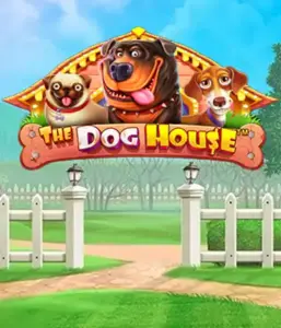 Pragmatic Play's The Dog House, featuring a delightful adventure through lovable dogs. Engage in gameplay elements such as sticky wilds, aimed at delivering entertaining gameplay. Perfect for those who enjoy a cheerful setting alongside lucrative rewards.