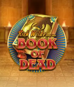 Enter the thrilling world of Book of Dead by Play'n GO, presenting vivid graphics of Rich Wilde's journey through ancient Egyptian tombs and artifacts. Discover lost riches with exciting mechanics like free spins, expanding icons, and a gamble option. Ideal for adventure enthusiasts with a desire for exciting finds.